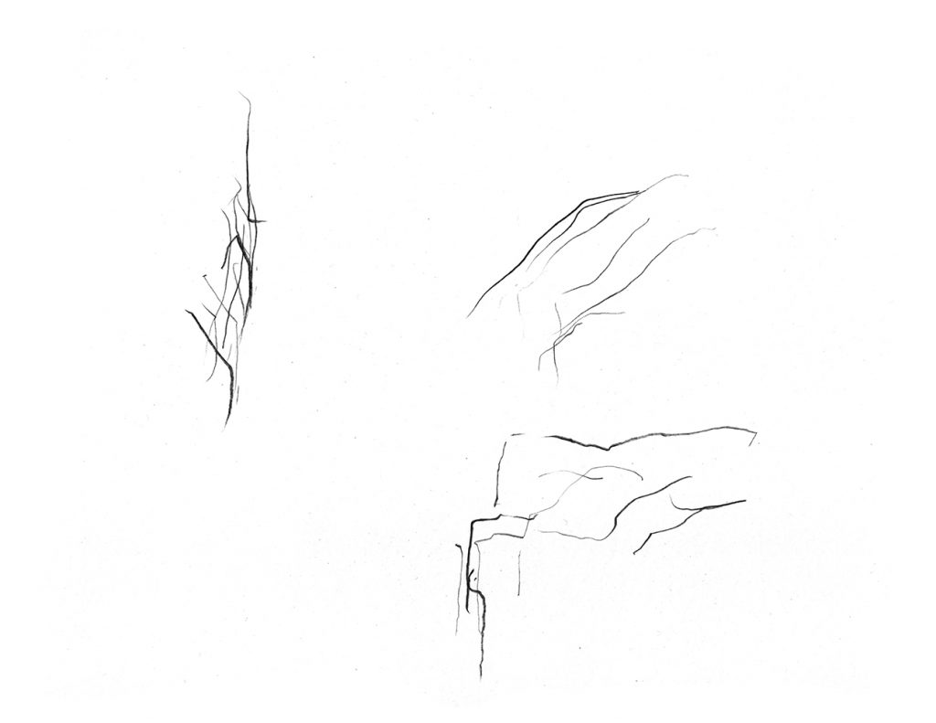 Ernesto Leal: Handwriting - François Vallée